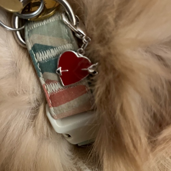 ❤️Valentine heart pet charm - Picture 7 of 7